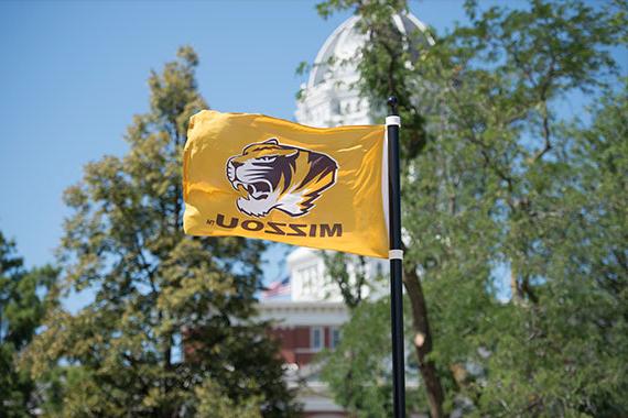 世界杯在哪里买球 Tiger logo flag in front of Jesse Hall